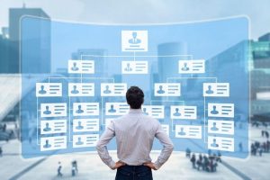 کارایی سازمانی